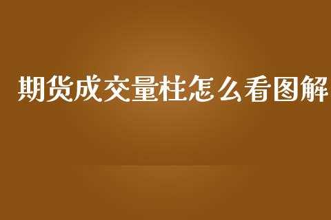 期货成交量柱怎么看图解_https://wap.apzhendong.com_投资理财_第1张