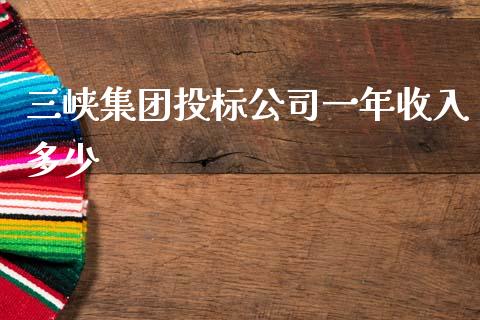 三峡集团投标公司一年收入多少_https://wap.apzhendong.com_投资理财_第1张