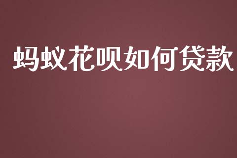 蚂蚁花呗如何贷款_https://wap.apzhendong.com_期货直播_第1张
