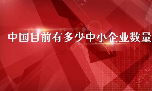 中国目前有多少中小企业数量_https://wap.apzhendong.com_投资理财_第1张