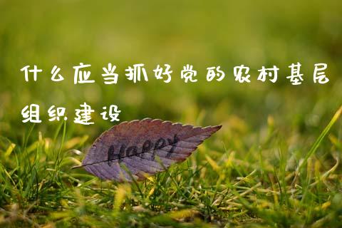 什么应当抓好党的农村基层组织建设_https://wap.apzhendong.com_期货直播_第1张