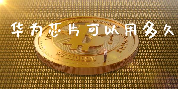 华为芯片可以用多久_https://wap.apzhendong.com_期货直播_第1张