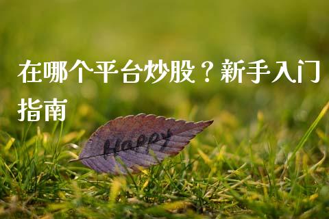在哪个平台炒股？新手入门指南_https://wap.apzhendong.com_期货直播_第1张