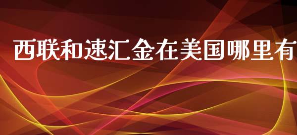 西联和速汇金在美国哪里有_https://wap.apzhendong.com_投资理财_第1张
