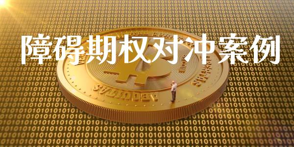 障碍期权对冲案例_https://wap.apzhendong.com_投资理财_第1张