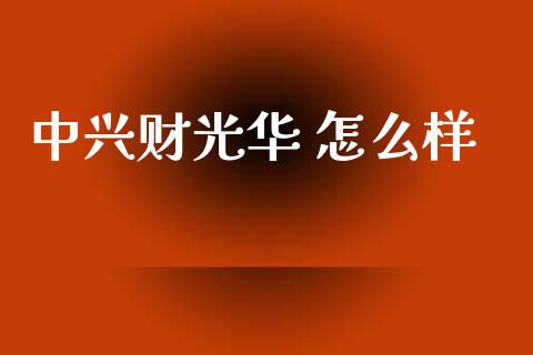 中兴财光华 怎么样_https://wap.apzhendong.com_美股行情_第1张