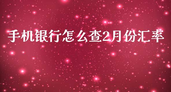 手机银行怎么查2月份汇率_https://wap.apzhendong.com_投资理财_第1张