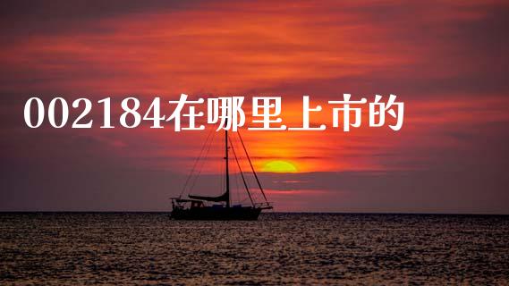 002184在哪里上市的_https://wap.apzhendong.com_期货直播_第1张
