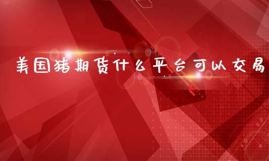 美国猪期货什么平台可以交易_https://wap.apzhendong.com_期货直播_第1张