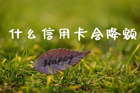 什么信用卡会降额_https://wap.apzhendong.com_美股行情_第1张