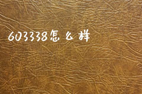 603338怎么样_https://wap.apzhendong.com_美股行情_第1张