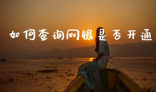 如何查询网银是否开通_https://wap.apzhendong.com_今日财经_第1张