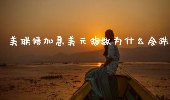 美联储加息美元指数为什么会跌_https://wap.apzhendong.com_期货直播_第1张