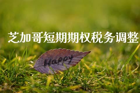 芝加哥短期期权税务调整_https://wap.apzhendong.com_今日财经_第1张