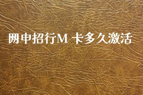 网申招行M 卡多久激活_https://wap.apzhendong.com_美股行情_第1张