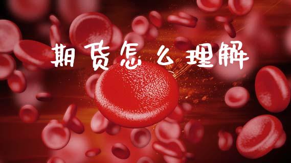 期货怎么理解_https://wap.apzhendong.com_投资理财_第1张
