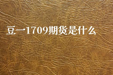 豆一1709期货是什么_https://wap.apzhendong.com_美股行情_第1张