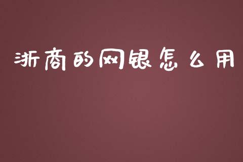 浙商的网银怎么用_https://wap.apzhendong.com_投资理财_第1张