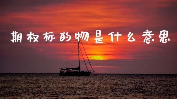期权标的物是什么意思_https://wap.apzhendong.com_投资理财_第1张