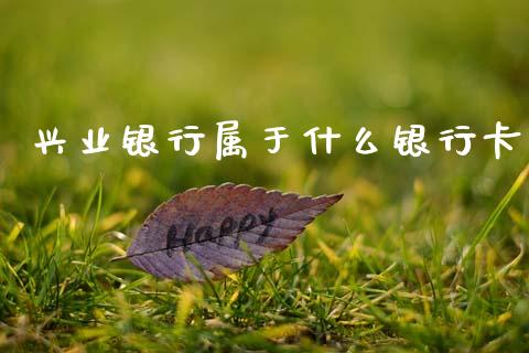 兴业银行属于什么银行卡_https://wap.apzhendong.com_投资理财_第1张