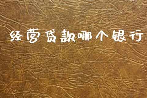 经营贷款哪个银行_https://wap.apzhendong.com_投资理财_第1张