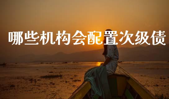 哪些机构会配置次级债_https://wap.apzhendong.com_今日财经_第1张