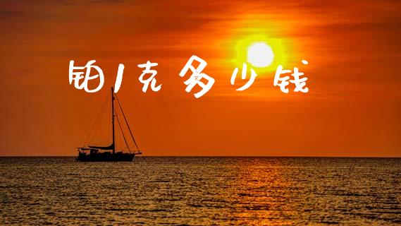 铂1克多少钱_https://wap.apzhendong.com_今日财经_第1张