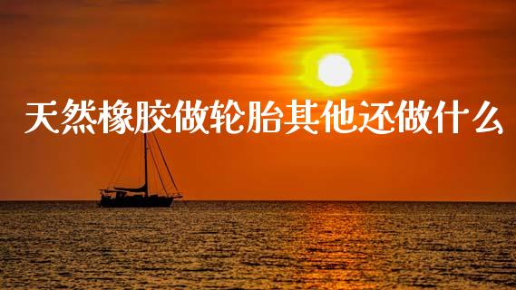 天然橡胶做轮胎其他还做什么_https://wap.apzhendong.com_投资理财_第1张
