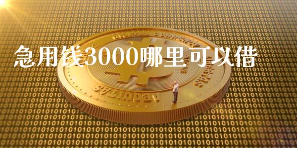 急用钱3000哪里可以借_https://wap.apzhendong.com_美股行情_第1张