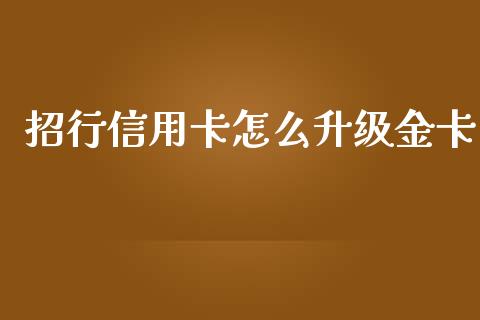 招行信用卡怎么升级金卡_https://wap.apzhendong.com_美股行情_第1张