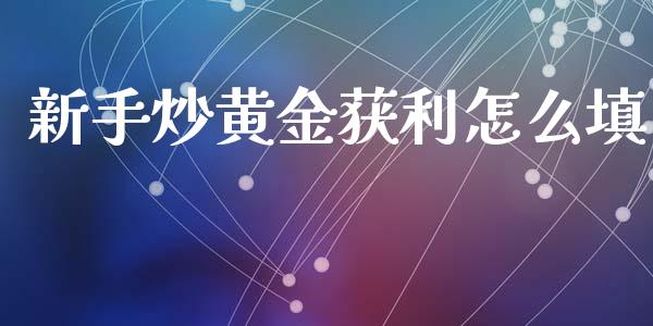 新手炒黄金获利怎么填_https://wap.apzhendong.com_今日财经_第1张