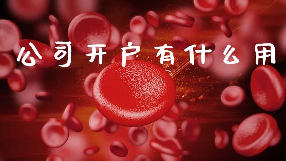 公司开户有什么用_https://wap.apzhendong.com_美股行情_第1张
