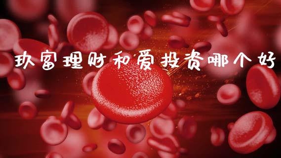 玖富理财和爱投资哪个好_https://wap.apzhendong.com_投资理财_第1张