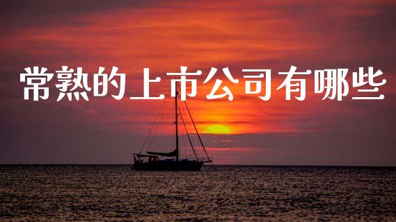 常熟的上市公司有哪些_https://wap.apzhendong.com_投资理财_第1张