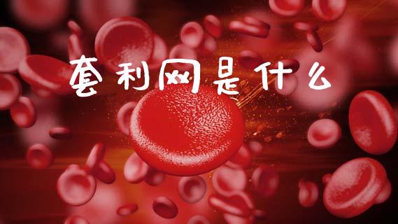 套利网是什么_https://wap.apzhendong.com_今日财经_第1张