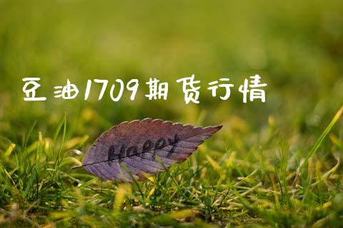 豆油1709期货行情_https://wap.apzhendong.com_今日财经_第1张