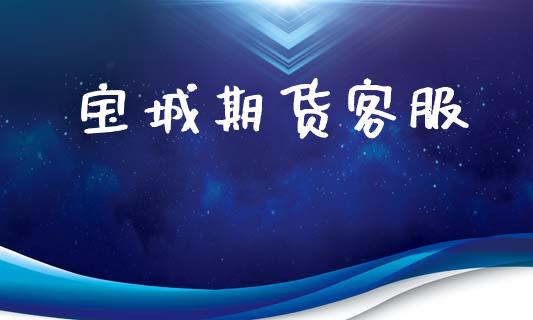 宝城期货客服_https://wap.apzhendong.com_今日财经_第1张