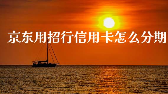 京东用招行信用卡怎么分期_https://wap.apzhendong.com_期货直播_第1张