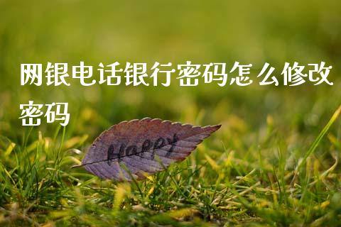 网银电话银行密码怎么修改密码_https://wap.apzhendong.com_投资理财_第1张