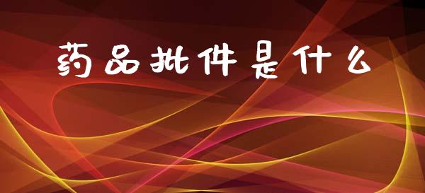 药品批件是什么_https://wap.apzhendong.com_美股行情_第1张