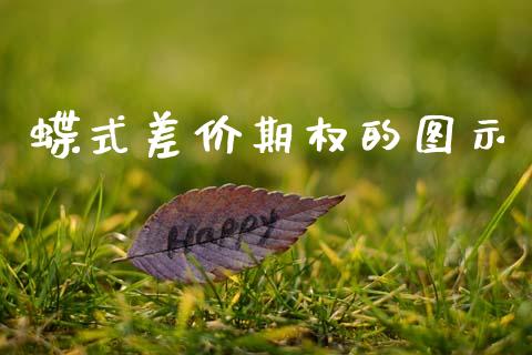 蝶式差价期权的图示_https://wap.apzhendong.com_期货直播_第1张