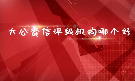大公资信评级机构哪个好_https://wap.apzhendong.com_投资理财_第1张