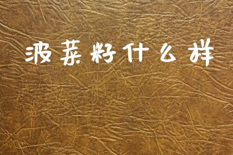 波菜籽什么样_https://wap.apzhendong.com_投资理财_第1张