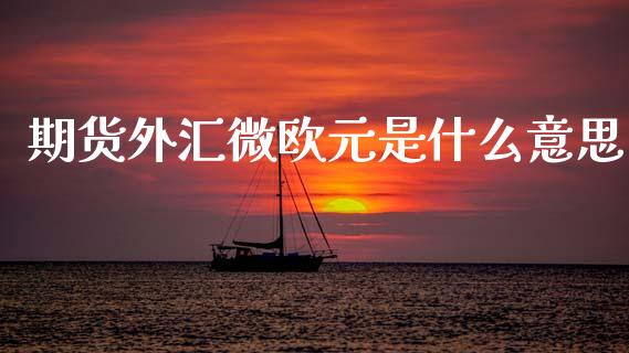 期货外汇微欧元是什么意思_https://wap.apzhendong.com_期货直播_第1张