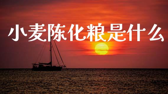 小麦陈化粮是什么_https://wap.apzhendong.com_美股行情_第1张