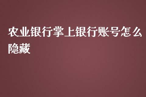 农业银行掌上银行账号怎么隐藏_https://wap.apzhendong.com_今日财经_第1张