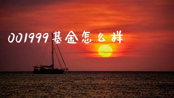 001999基金怎么样_https://wap.apzhendong.com_今日财经_第1张