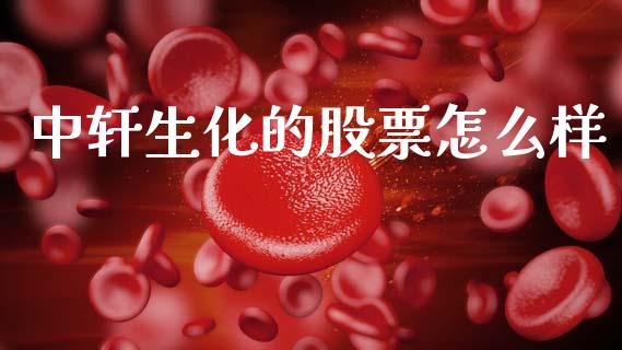 中轩生化的股票怎么样_https://wap.apzhendong.com_投资理财_第1张