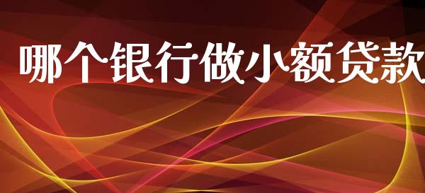 哪个银行做小额贷款_https://wap.apzhendong.com_投资理财_第1张