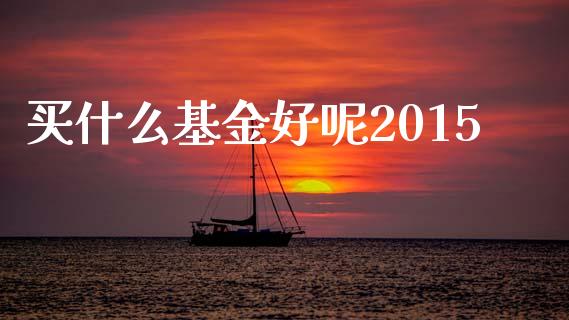 买什么基金好呢2015_https://wap.apzhendong.com_今日财经_第1张